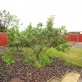 16 Windermere Avenue North Hykeham LN6 8EJ Thumbnail Image 19 - King and Co