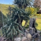 2 Broadway North Hykeham  Lincoln LN6 8DR Thumbnail Image 11 - King and Co