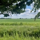 2 617 Court High Street Scampton Lincoln LN1 2TT Thumbnail Image 16 - King and Co