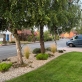 25 Staffordshire Crescent Doddington park Lincoln LN6 3LR Thumbnail Image 14 - King and Co